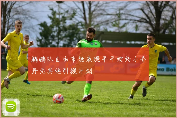 鹈鹕队自由市场表现平平续约小乔丹无其他引援计划