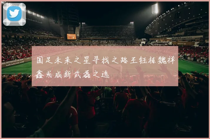 国足未来之星寻找之路王钰栋魏祥鑫或成新武磊之选